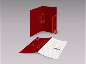 Identidade Visual - Liderana Seguros